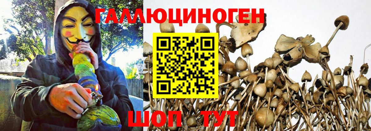 Псилоцибиновые грибы ЛСД Псков